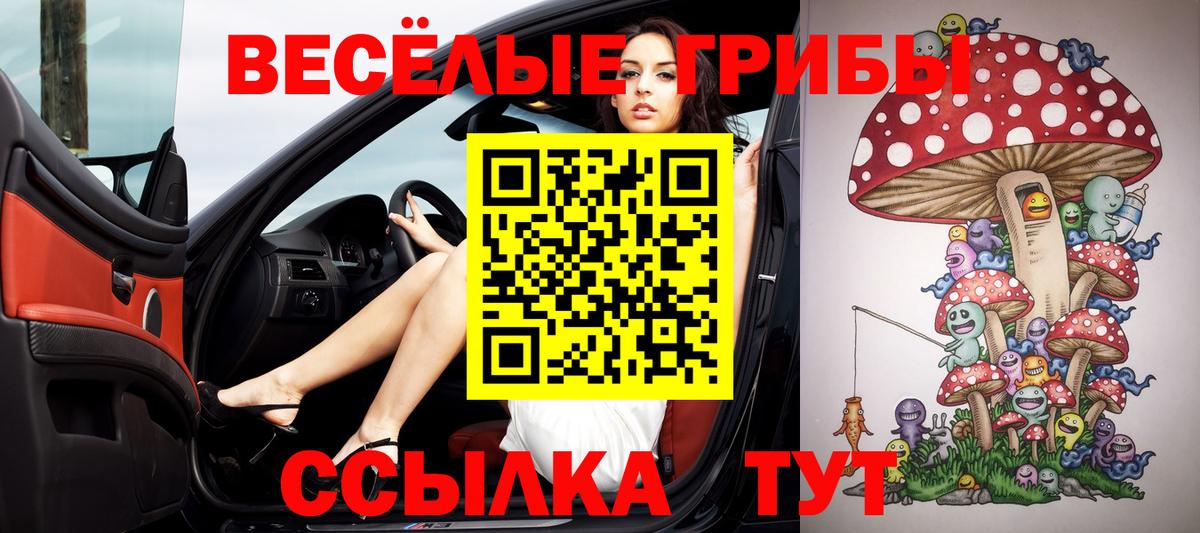 Псилоцибиновые грибы Кинешма