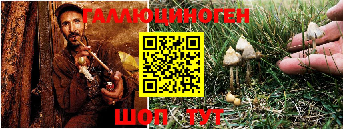Кинешма  Галлюциногенные грибы мицелий  Галлюциногенные грибы MAGIC MUSHROOMS  Вход с VPN 