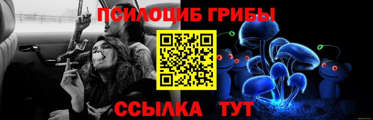 Галлюциногенные грибы прущие грибы Кинешма
